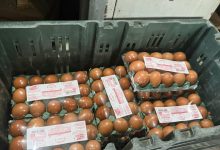 Vigilância Sanitária de Campina Grande atua em ação que resulta na detenção de comerciante e apreensão de produtos irregulares