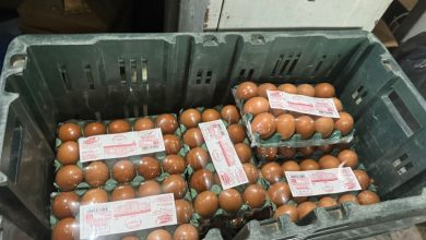 Vigilância Sanitária de Campina Grande atua em ação que resulta na detenção de comerciante e apreensão de produtos irregulares